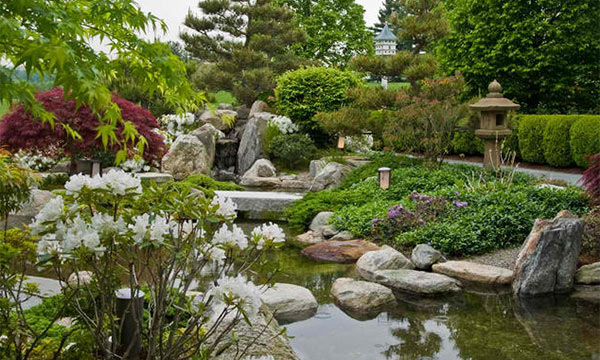 Zen garden