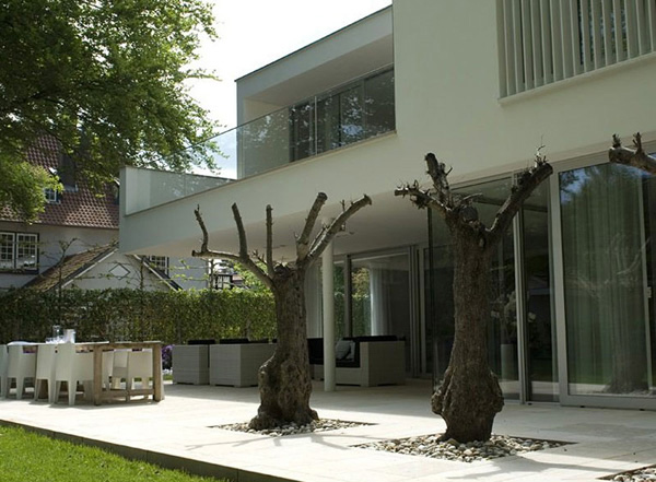 tree outdoor design