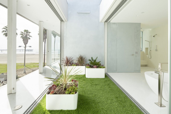 indoor lawn