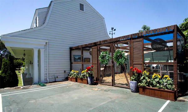 large chicken coop