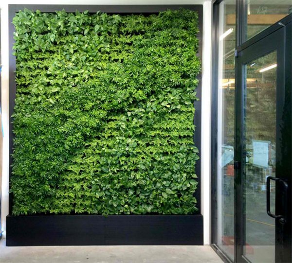 Green Living Walls