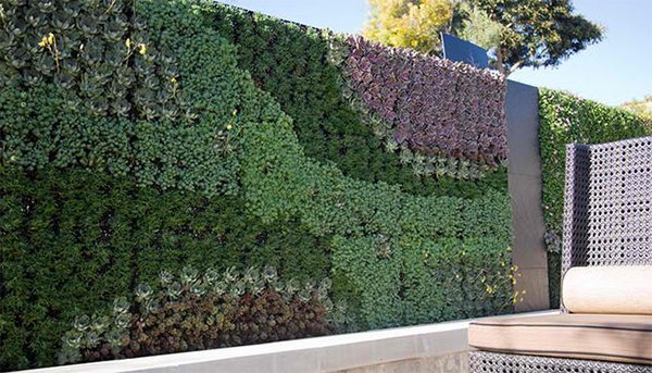 wall plant art
