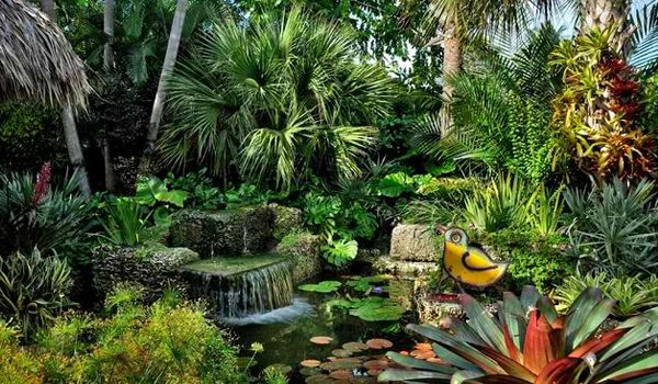 tropical garden designs for small gardens