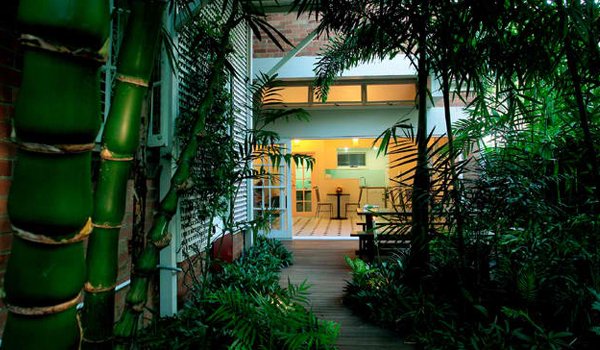how to design a tropical garden