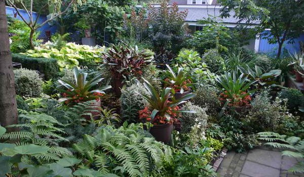 layout tropical garden design