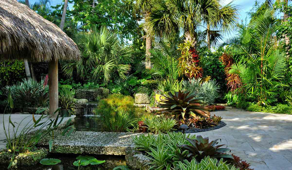 tropical garden designs for small gardens