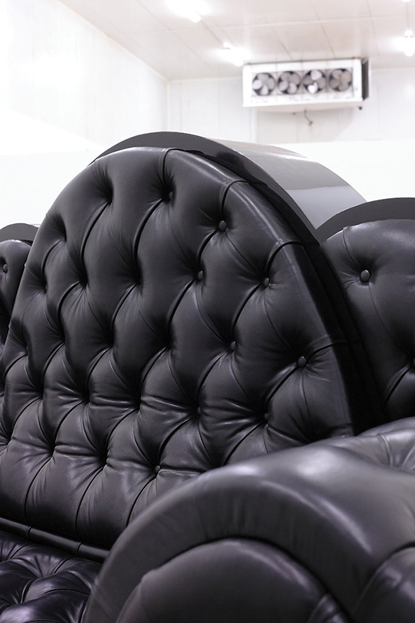 upholstered Sofa