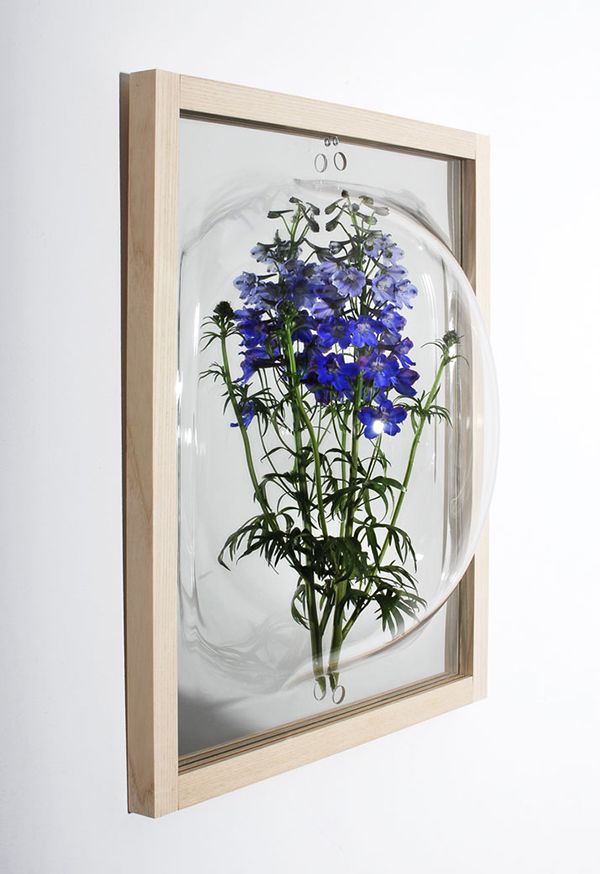 frame flower