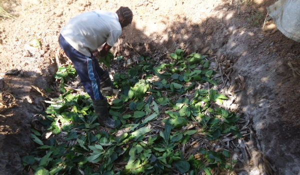 Have a compost pit