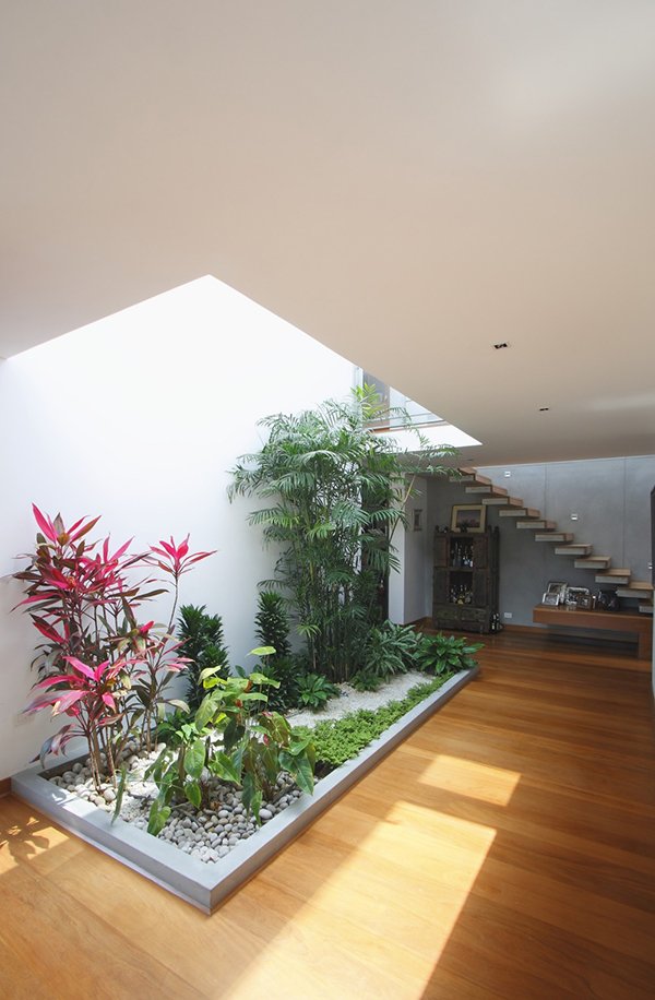 garden indoor interior designs bring into cachalotes casa life