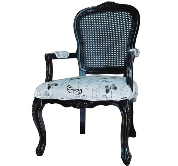 Printed Furniture Upholstery