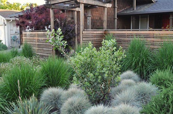 20 Landscaping Ideas Using Grass Plants | Home Design Lover on Ornamental Grass Garden Designs
 id=86803