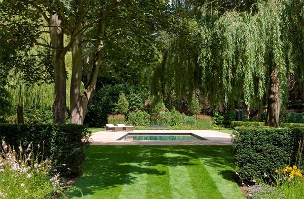 pool landscape design