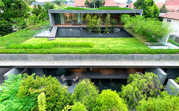 green roof house