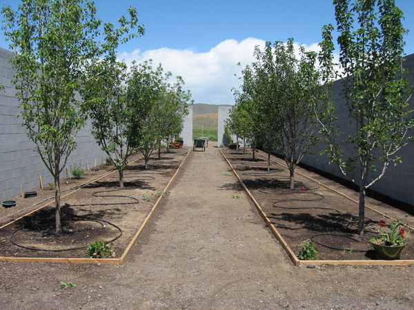 garden area