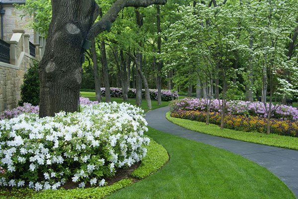 20 Ways to Landscape With Shrubs | Home Design Lover