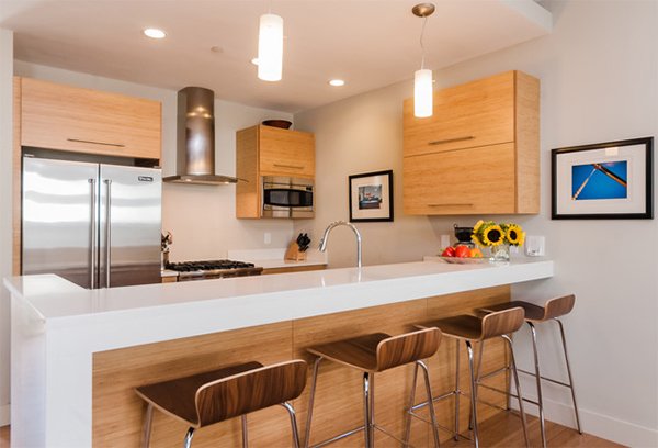 20 Dashing and Streamlined Modern Condo Kitchen Designs ...