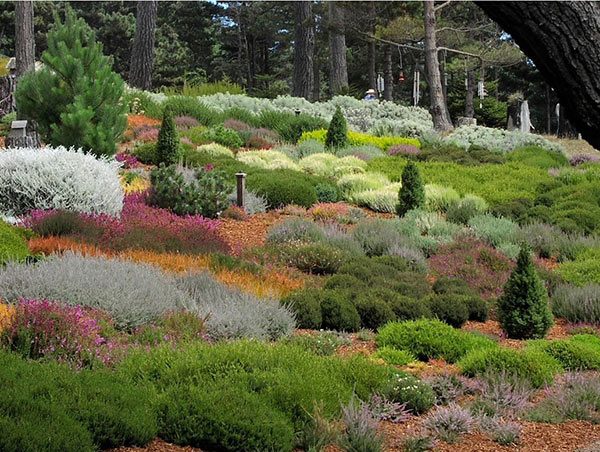 sea side garden