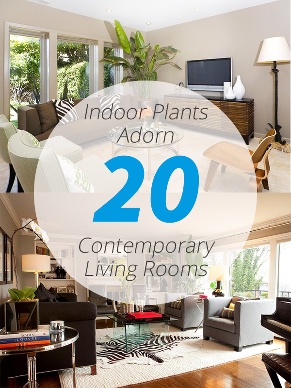 Indoor Plants Adorn 20 Contemporary Living Rooms | Home Design Lover