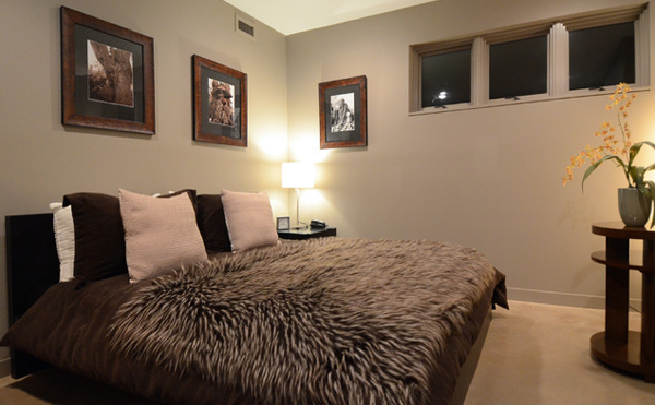 Contemporary Bedrooms animal fur
