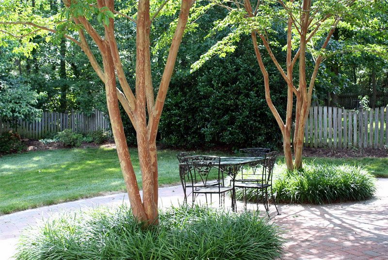 Landscaping Ideas For Front Yard Trees Front Yard Landscaping 12