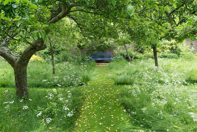 Tree Shade Landscapes