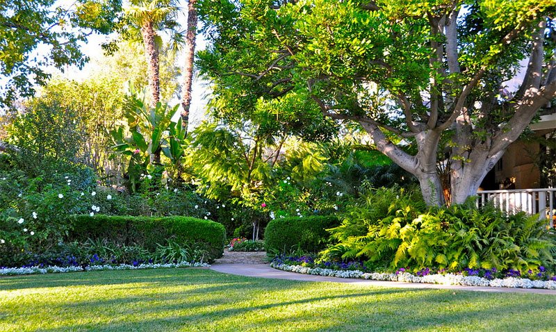 jardinería de árboles