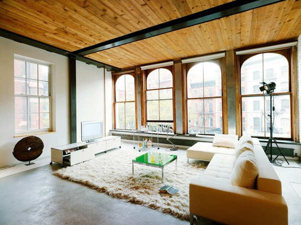 animal fur living room