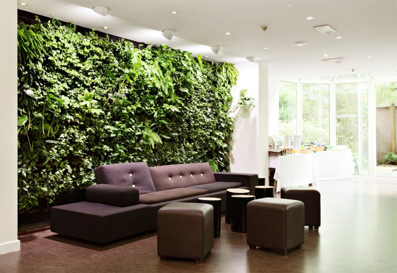 green walls decorating houseplants