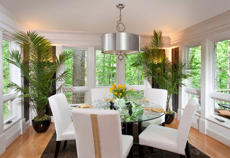 Ways of Decorating Your Interior with Green Plants | Home ...