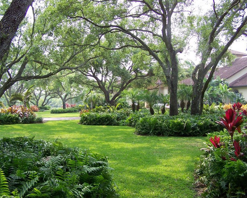 landscaping with trees