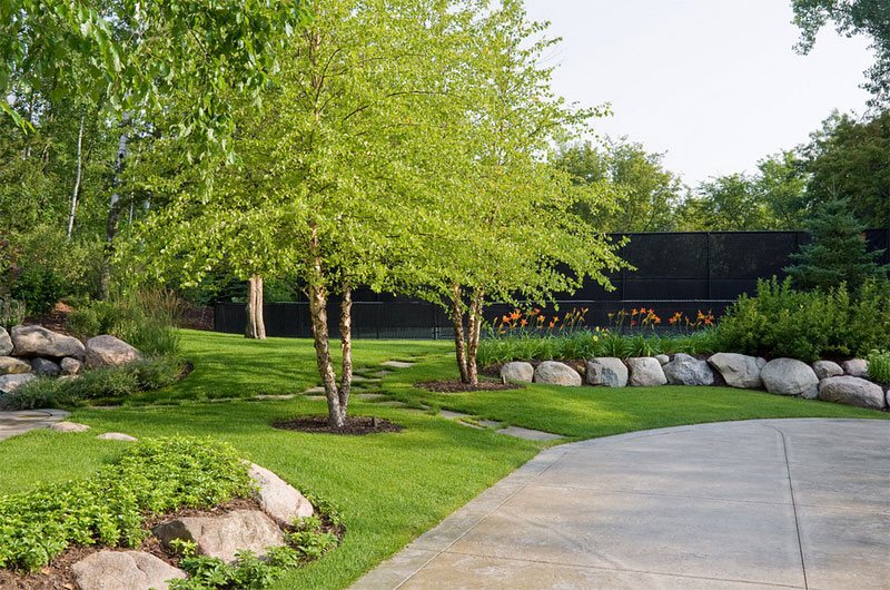 how to group trees in landscaping