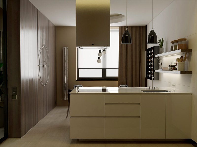 Ultra Modern Kitchens