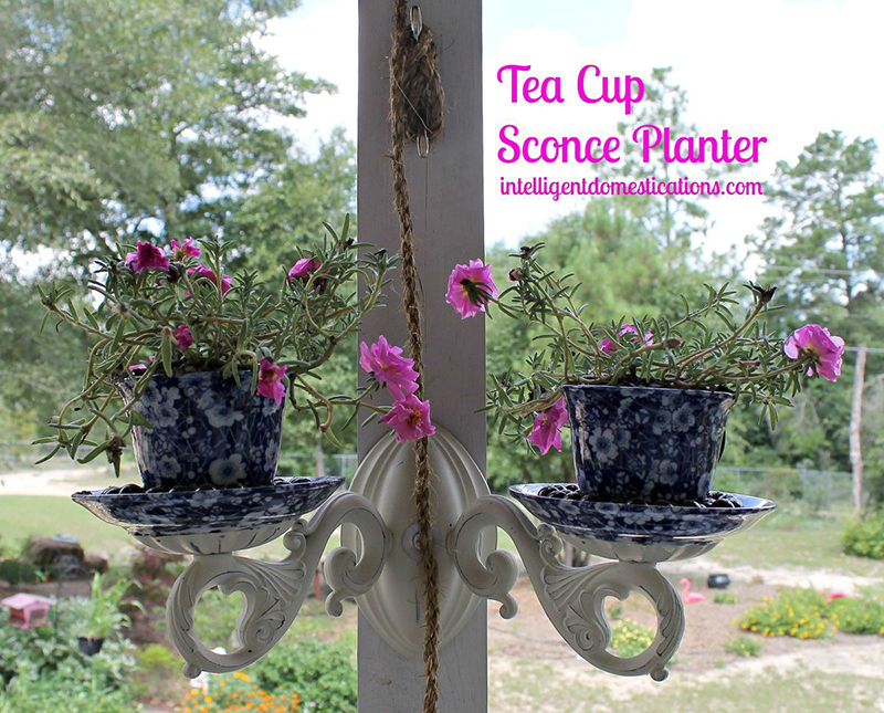 Tea Cup Sconce Planter Repurpose Project