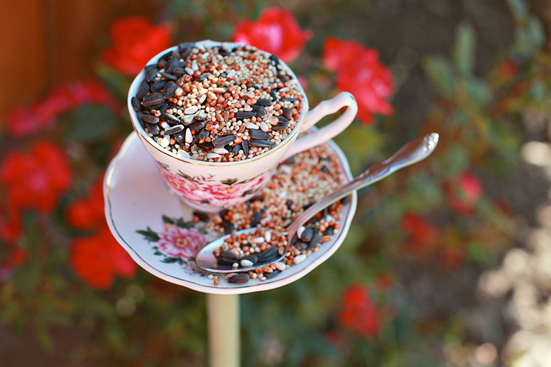 DIY Teacup Bird Feeder