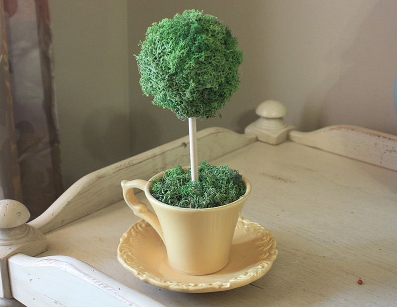 Tea Cup Topiary