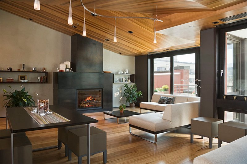 Wood On Ceiling In Living Room