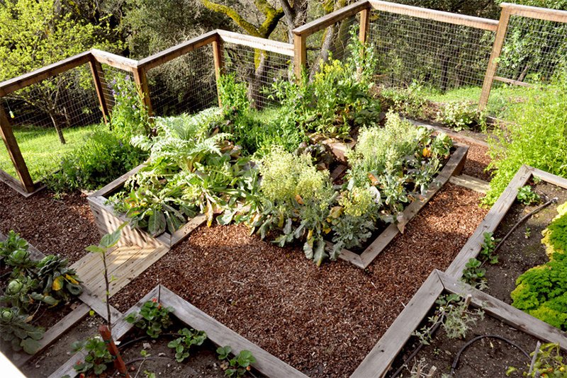 wood planters