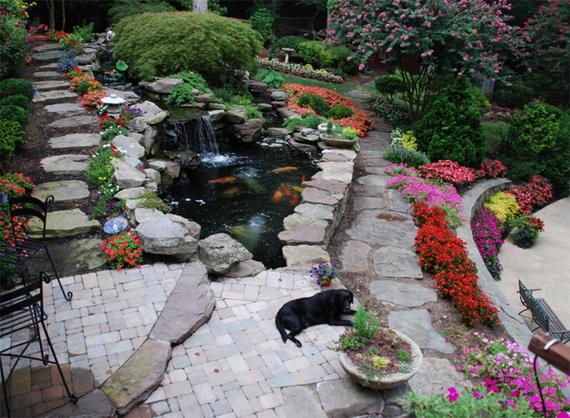 modern koi pond