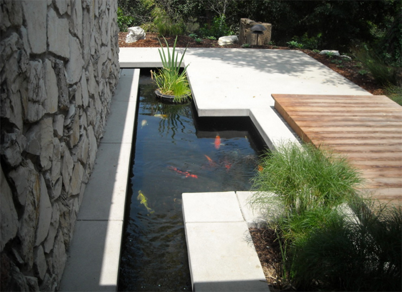 modern koi pond