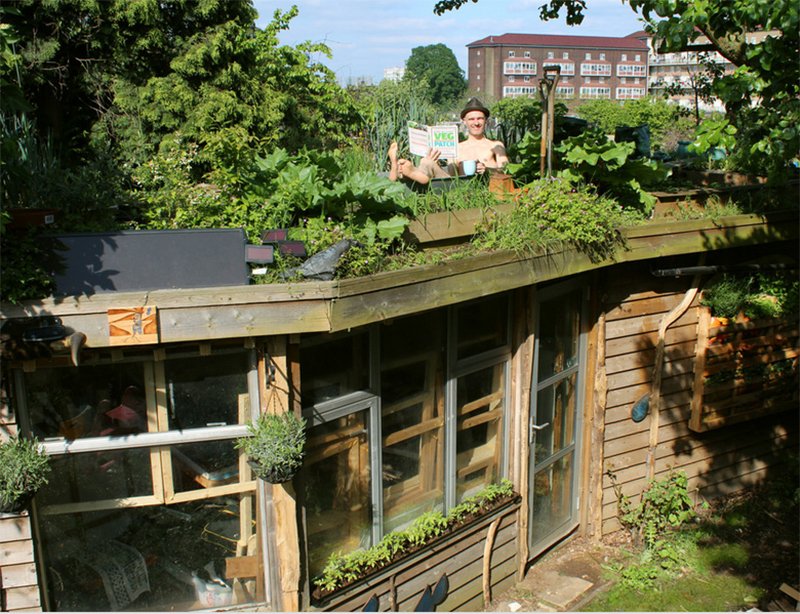 Allotment Roof Shed