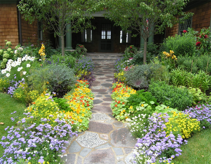 colorful flowers pathway