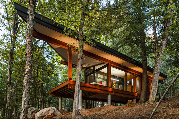 Home in the Woods