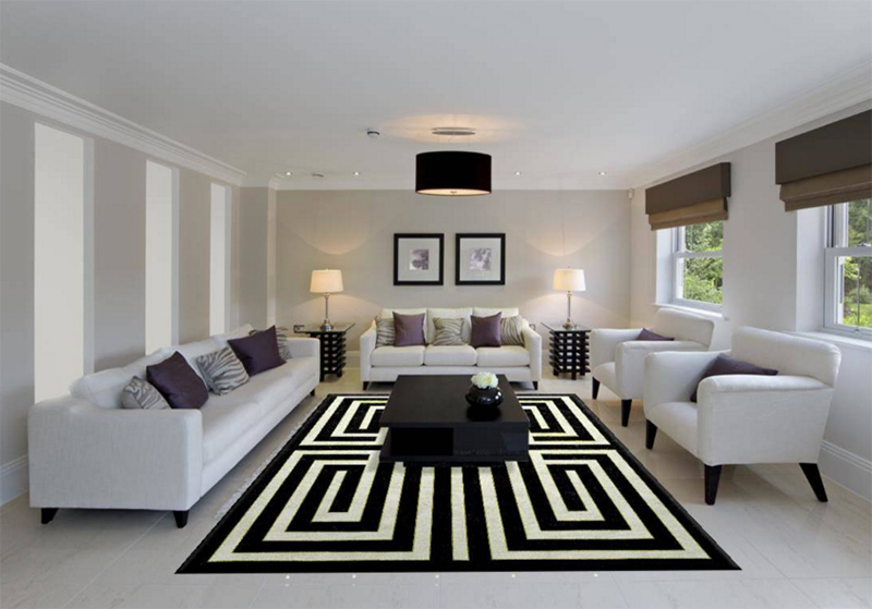 Living Room With Black And White Rug