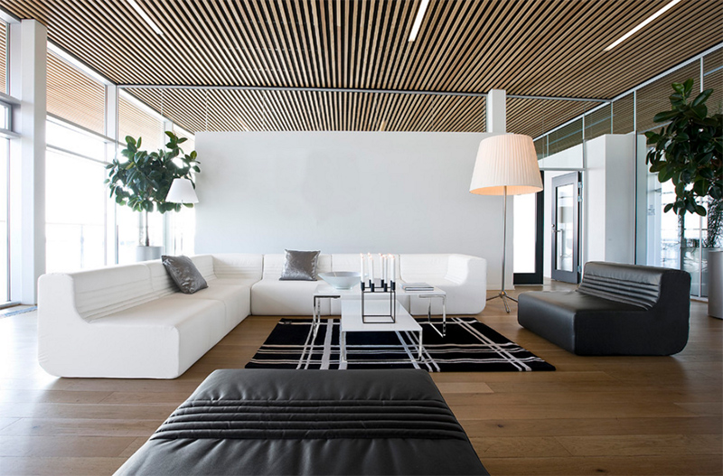 Living Room With Black And White Rug