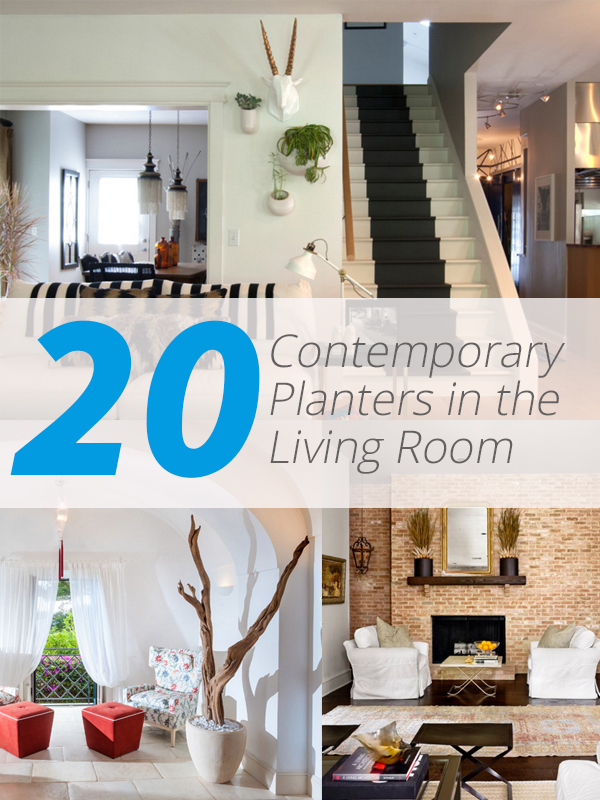 planter living room