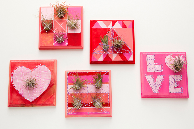 Air Plants + String Art = Living Wall Art!