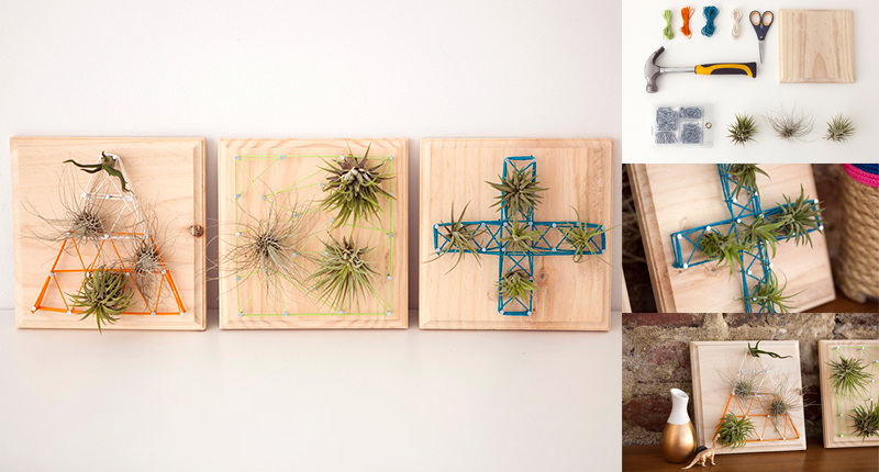 DIY Air Plants String Art