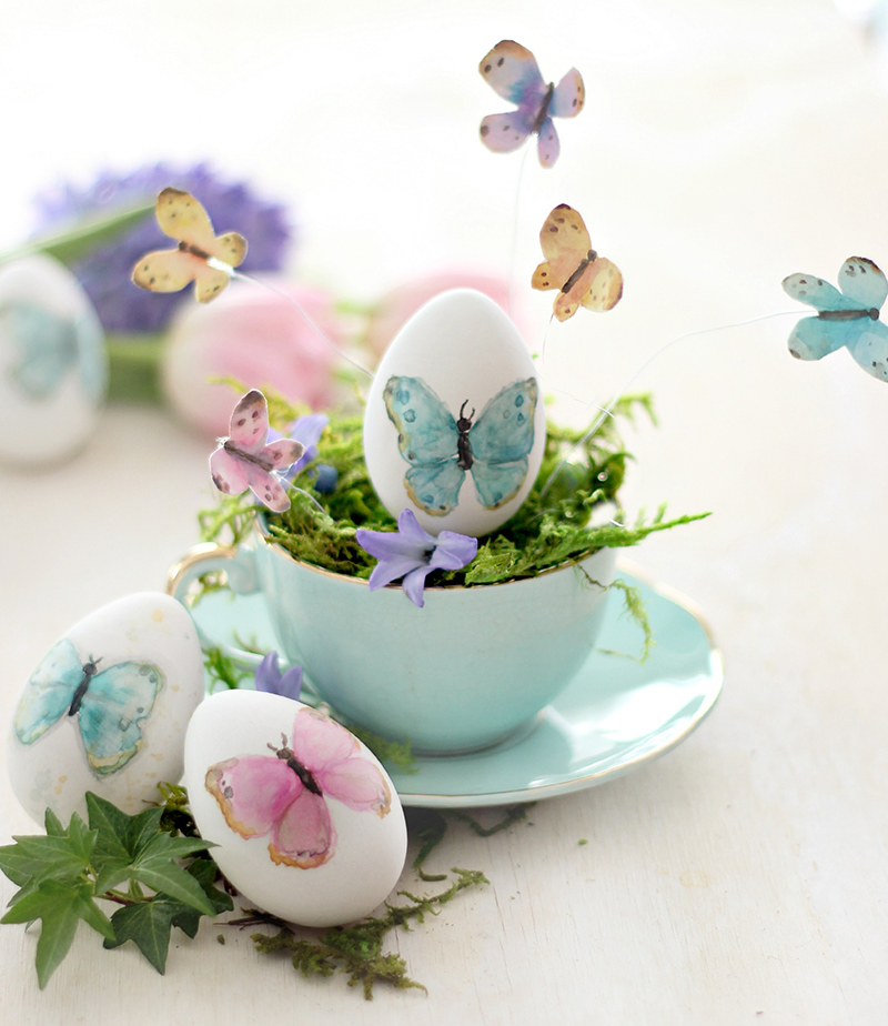 Water Color Butterfly Eggs