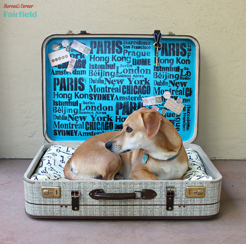 Turn A Suitcase Into A No-Sew DIY Dog Bed